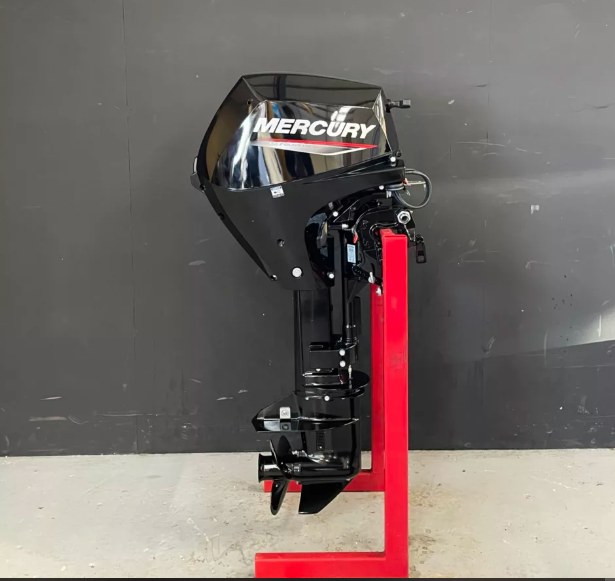 Mercury 10 PK EFI outboard engine