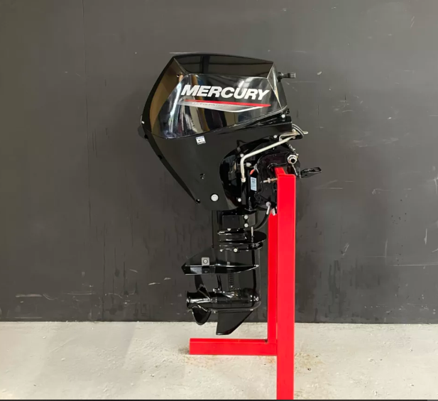 Mercury 10 PK EFI outboard engine